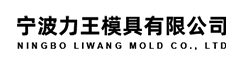宁波力王模具有限公司